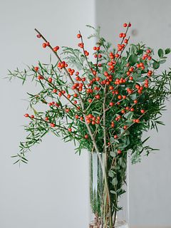 香りのスワッグ「ティーツリーとウィンターベリー」