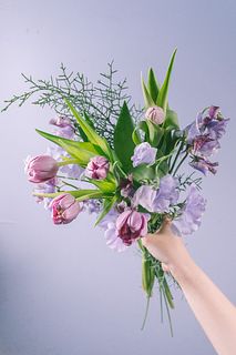 すみれいろの春さがし