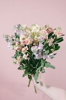 コットンキャンディストック