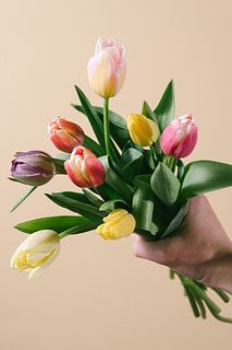 チューリップ畑から