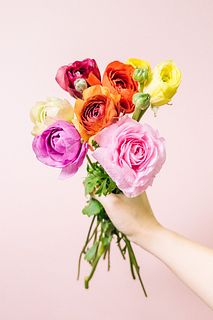 カラフルラナンキュラス