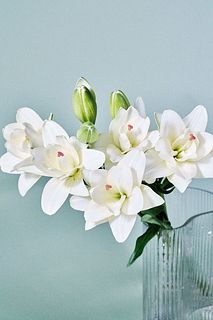 【産直】今井ゆり園のベルベデーレ