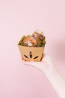 土と水がいらない「苔付きマジックアマリリス」