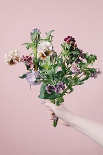 みやび花園の希少パンジー「粋」