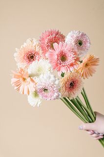 【1月のお買い得】ニュアンスカラーのガーベラ