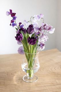 すみれいろの春さがし