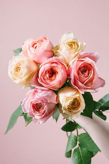 キャラメルとロマンティックローズ