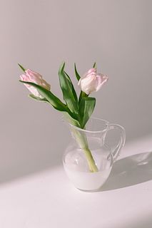 ガラスのピッチャーベース（Sサイズ）