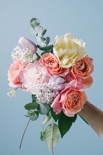 偶然見つけた春