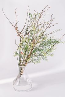 スプリングブランチミックス