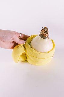 マジックアマリリスとふわふわマグポット（イエロー）