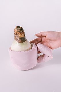 マジックアマリリスとふわふわマグポット（ピンク）