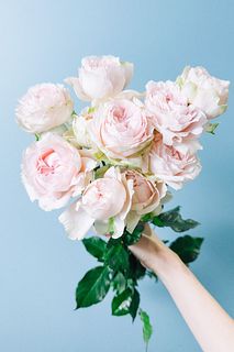 スプレーバラ「ベイビーカメレオン」