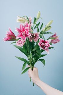 八重咲きゆり「エレナ」（セミロングサイズ）