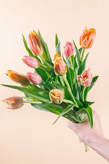 陽気なチューリップ