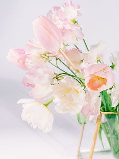 さくら色の春だより