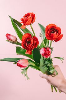 恋するラナンキュラスとチューリップ