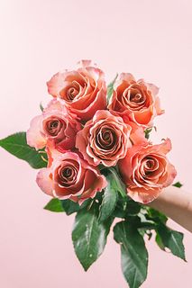 大輪バラ「モカチーノ」