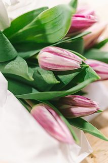 フローリストtaichiの推しチューリップ