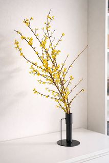 花咲くレンギョウ（ロングサイズ）