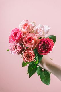 ピンクアソート「ローズ」