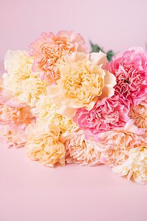 カーネーションミナミMIX（9〜10本）