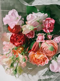 フローリストtaichiの推し花MIX「桜ピンクアソート」