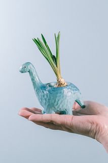 ブラキオサウルスとムスカリ