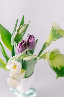 曲線を楽しむブーケ「カラーとチューリップ」