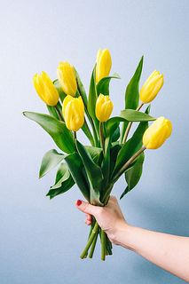 【1月のお買い得】幸運の黄色チューリップ