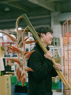 超希少！ヘリコニア「ムトシアーナ」（1本）