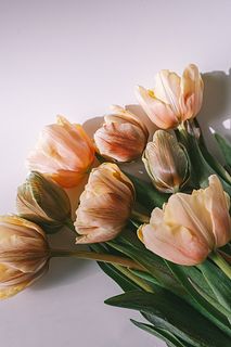 チョコレートチューリップ