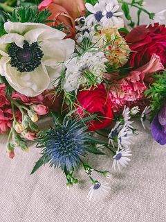 クラシックスプリング