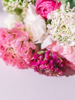 ピンクのポンポンラナンキュラス