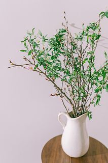 花咲く桜とこでまり