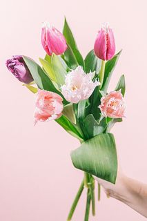 おまかせフリンジ咲きチューリップ