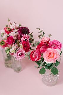 【2BUY10%OFF】ビビッドピンクのわんぱくブーケ（2束セット）