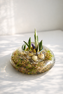 球根寄せ植えフラワーベース