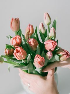 【産直】センティアのおまかせチューリップ（ピンクMIX）（14〜15本）