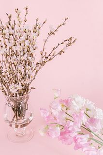 【2BUY10%OFF】早咲き桜と春色スイートピー