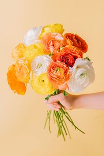 シトラスアソート「ラナンキュラス」