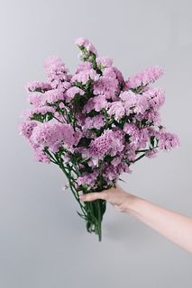 チェリーピンクのスターチス