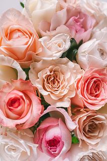 Fall in rose パステルピンクのバラを集めて