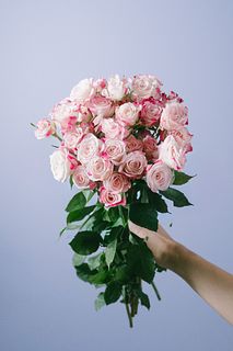 【1月のお買い得】ストロベリーミルクローズ