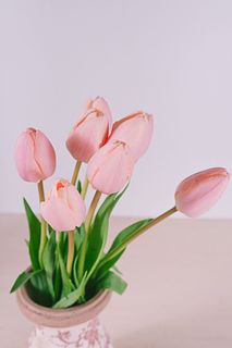 ベビーピンクのチューリップ