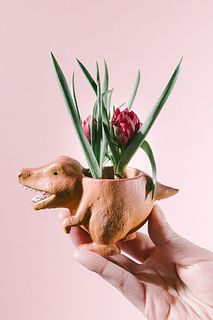 ティラノサウルスとテタテ（3球）