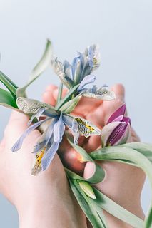 フローリストrinaの推し球根アソート