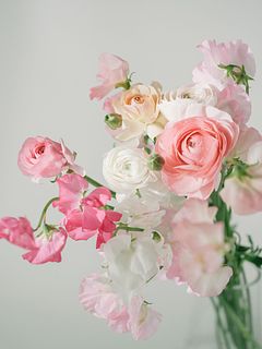 春色ラナンキュラスとスイートピー