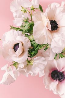 ふんわりホワイトのアネモネとスイートピー