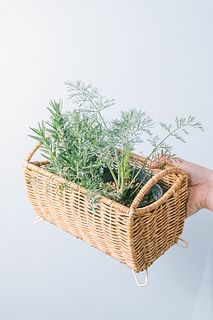 キッチンハーブバスケット（ディルとローズマリー）